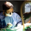 서울플란트치과의원 이미지