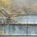 수원지민박 이미지