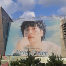 경호솔라 | 2024.07.14 탬미팅 막공 후기