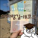 새경북약국 | 해파랑길 18코스: 칠포해변 ~ 화진해변