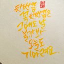 감성을 쓰다 캘리그라퍼 이미지