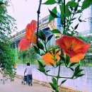 우림세탁소 이미지