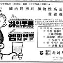 주식회사 에프엠피 네이버블로그