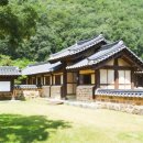 신선(神仙)의 진실 / #소나무 #솔잎 #송진 이미지