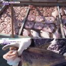 등너머민박 이미지