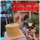 디어마이메이플(Dear My Maple) | 동대문강아지케이크 동대문강아지간식 디어마이메이플