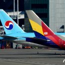 (유)뉴스(NEWS)항공