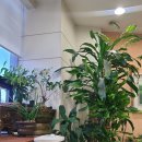 호내과의원 이미지