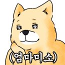 국민낙곱새대전 이미지