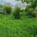 마송농장 이미지