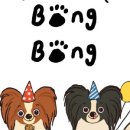 봉봉펫스낵타임 이미지