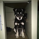 두리하우스 이미지