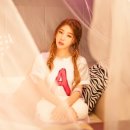 해시태그 이미지