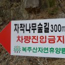 복주산자연휴양림 이미지