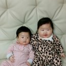 약산정 이미지