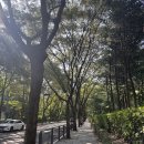 오화체형동안