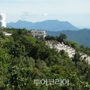 열정