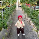 베베시앙 이미지