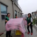 평리2동 행정복지센터 이미지