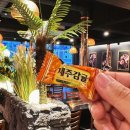 제주옥탑경주용황점