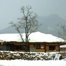 정겨운마을 이미지