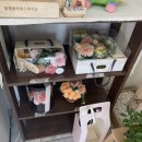 꽃별플라워스튜디오 이미지