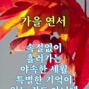 웃는 자가 건강하다 이미지