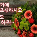 🌈🌈 거리두기 1단계- 가을 방학도 끝 - 10.12 월요일 출부 올립니다 🌈🌈 이미지