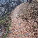 한울농장 이미지