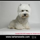 맘보농장 이미지