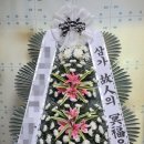 중앙성심요양병원 이미지