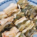 뉴힐링캠프 이미지