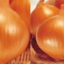 대흥건강원 - 군위군 읍내길 32 | 대흥건강원