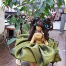 인형나라 이미지