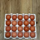 행복양계장 | 양계장청년 난각1번 유정란 후기, 무항생제 HACCP 인증 상황버섯 계란 추천