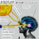 태양테라피 이미지