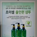 미용실 대표가 직접 만든 올인원 샴푸 '쵸이셀'을 아시나요?