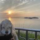 서쪽노을 이미지