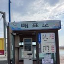 선재낚시터 | 여행/낚시] 낚시 왕초보의 선재도 낚시 후기/선재어촌체험마을 해상낚시터/영흥도 물회 맛집 거북이네