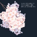 스튜디오;꽃