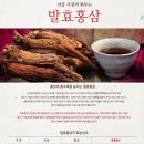 홍삼월드
