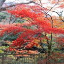 장춘여관 이미지