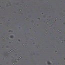 백호동물병원 이미지