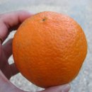 오렌지호텔 이미지