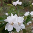 보성농장 이미지