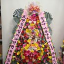 조앤조연합치과의원 이미지