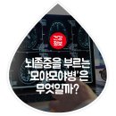 뇌졸중을 부르는 &#39;모야모야병&#39;은 뭘까요? 이미지