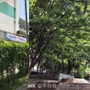 샛마을근린공원 이미지