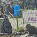 목계성황당 네이버블로그