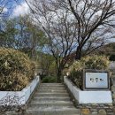 민들레식당 이미지